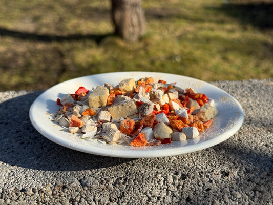 Plovs ar sieru un sēnēm